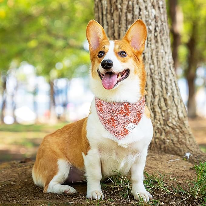 E-Clover Fall Dog Bandana & Matching Scrunchie-Leaves Dog
