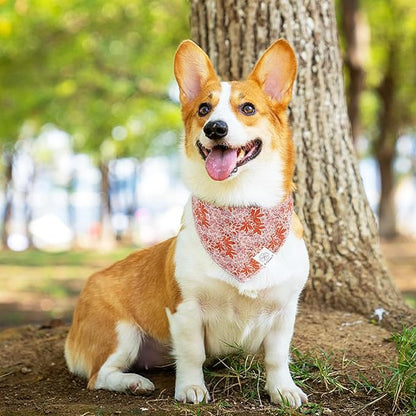 E-Clover Fall Dog Bandana & Matching Scrunchie-Leaves Dog