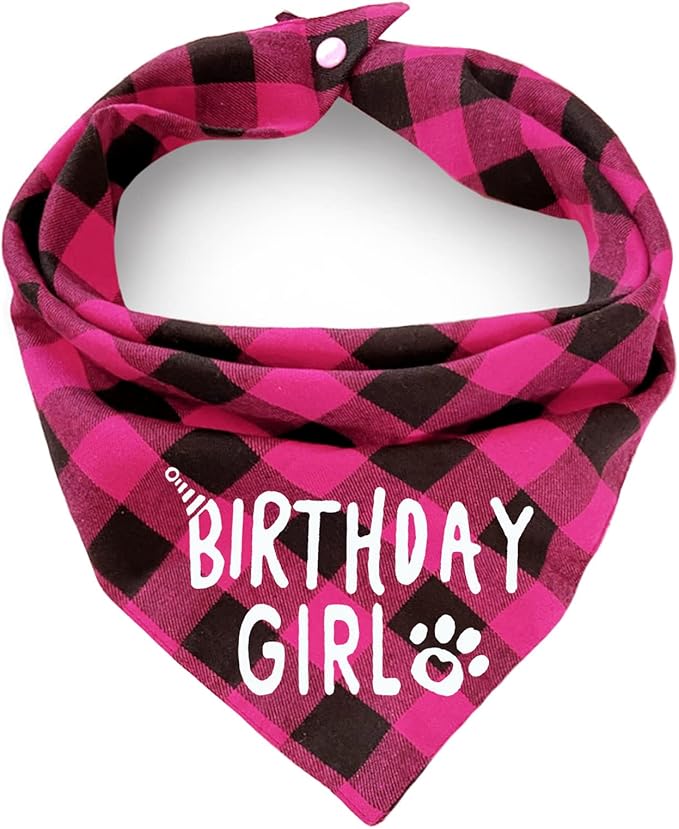 Birthday Plaid Dog Bandana with Button