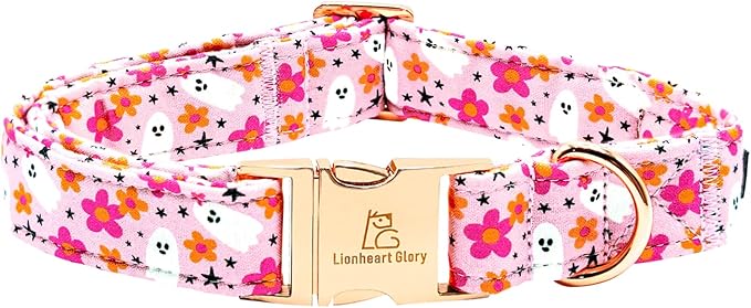 Lionheart glory Dog Collars Fall Halloween Pumpkin Collar