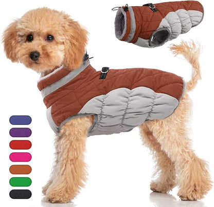 Dog Coat