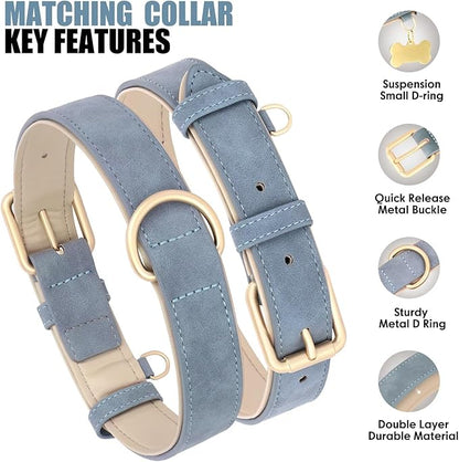 Beirui Soft Padded Leather Dog Collar and Leash Set 4FT Leather