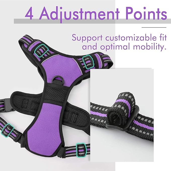 rabbitgoo Dog Harness, No-Pull Pet Harness with 2 Leash Clips, Adjustable Soft Padded Dog Vest, Reflective No-Choke Pet Oxford Vest with Easy Control Handle for Large Dogs, Purple, XL