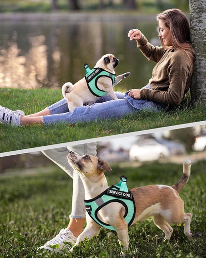 FAYOGOO Dog Harness for Small Dogs - Lightweight Service Dog in Training Harness with 6PCS Removable Patches - Puppy Harness for Walking Training