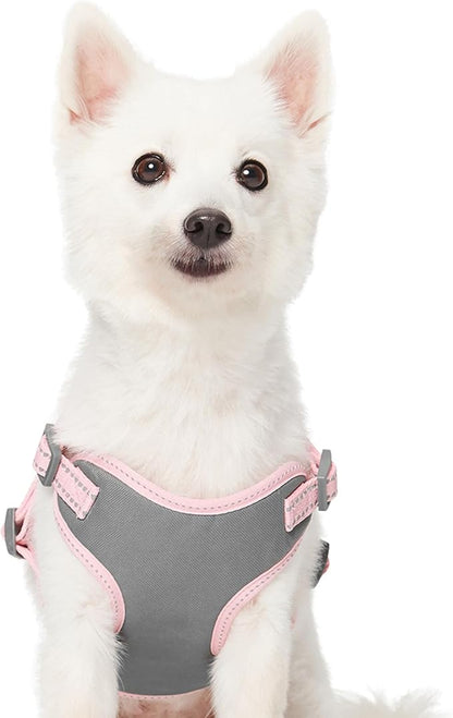 Blueberry Pet Essentials Pastel Color Reflective Matching Dog Harness Vest and Leash Set in Baby Pink, Adjustable Harness with 4 ft Leash for Large Dogs