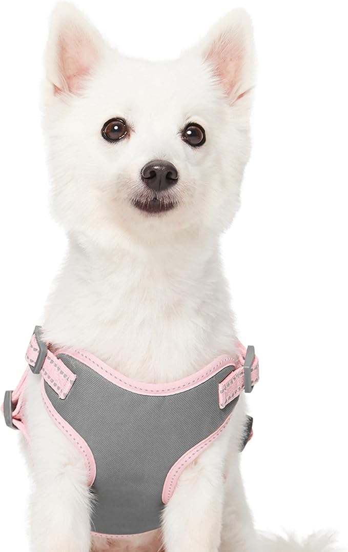 Blueberry Pet Essentials Pastel Color Reflective Matching Dog Harness Vest and Seatbelt Set in Baby Pink