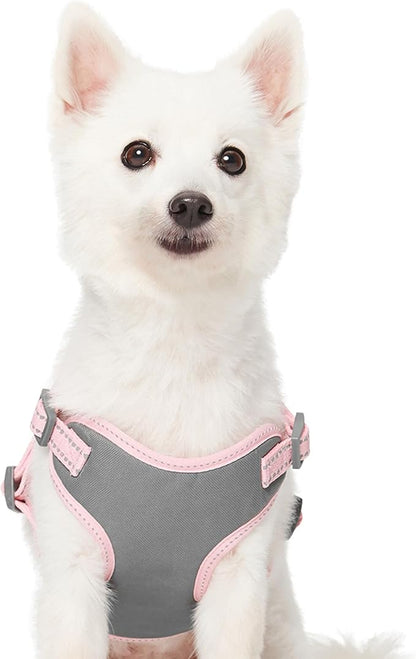 Blueberry Pet Essentials Pastel Color Reflective Matching Dog Harness Vest and Leash Set in Baby Pink 5 ft