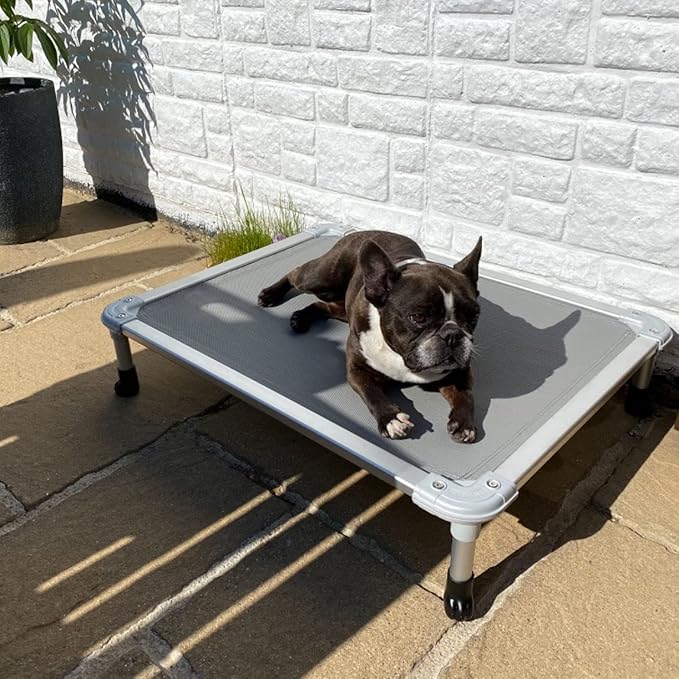 Veehoo Chew Proof Elevated Dog Bed CWC2003