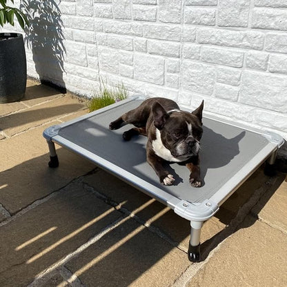 Veehoo Chew Proof Elevated Dog Bed CWC2003