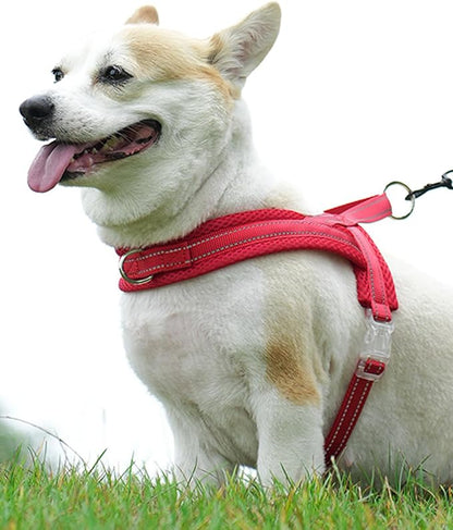 Red Small Dog Harness No Pull Dog Harness for Small Dogs Puppy Harness with Breathable Mesh Padded Adjustable Reflective Lightweight Escape Proof Dog Harness Small Sized Dog Easy Walk (Red, S)