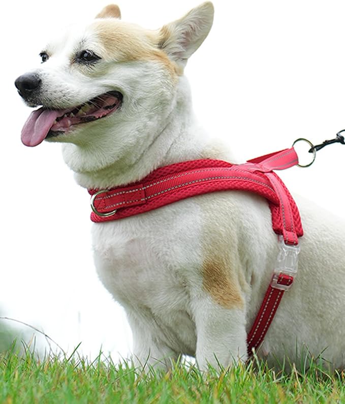 Red Medium Dog Harness No Pull Dog Harness
