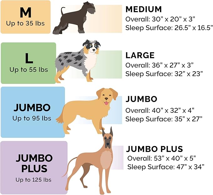 Furhaven Memory Foam Dog Bed for Large/Medium Dogs w/ Removable Bolsters & Washable Cover 55 lbs