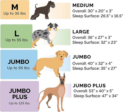 Furhaven Memory Foam Dog Bed for Large/Medium Dogs w/ Removable Bolsters & Washable Cover 55 lbs