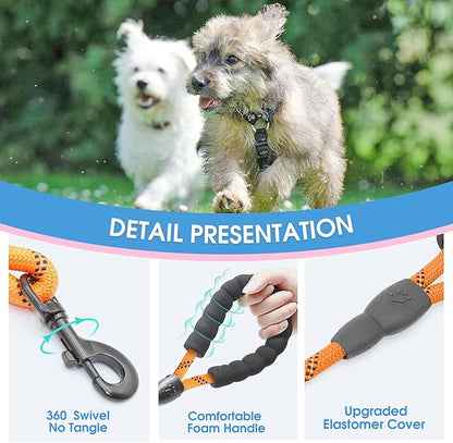 BAAPET 2/4/5/6 FT Dog Leash with Comfortable Padded Handle and Highly Reflective Threads for Small Medium and Large Dogs (5FT-1/3''