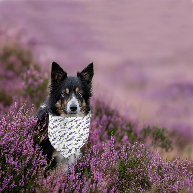 Spring Dog Bandanas 2 Pack,