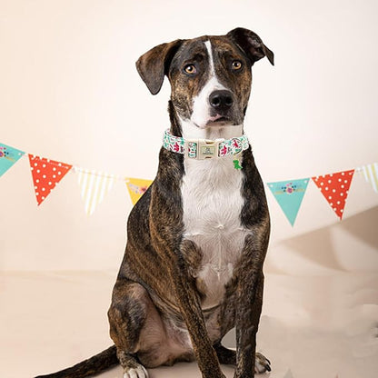 Lionheart glory Dog Collar