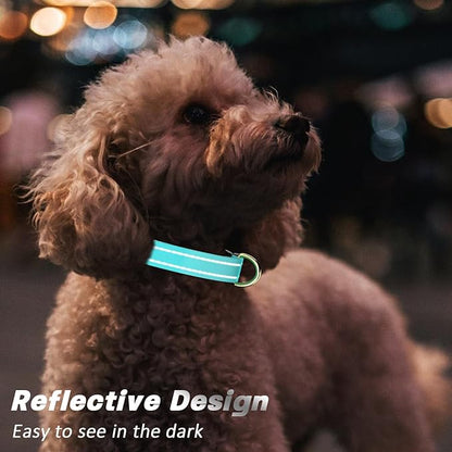Reflective Dog Collar