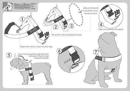 BULLHUG Harness – Made for Larger Chested Dogs Like English Bulldogs