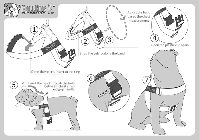 BULLHUG Harness – Made for Larger Chested Dogs Like English Bulldogs