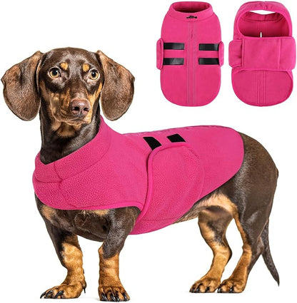 Queenmore Medium Dog Sweater