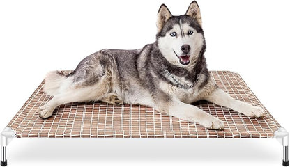 Elevated Dog Bed
