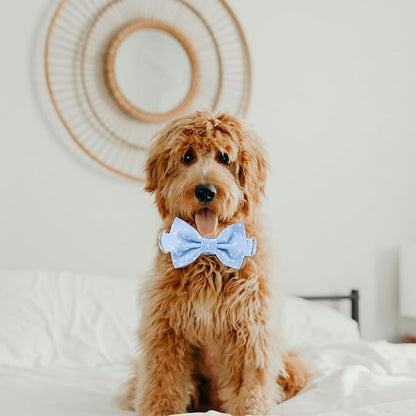 Adjustable Pet Bow Tie and Dog Collar for Small Medium Large Dogs