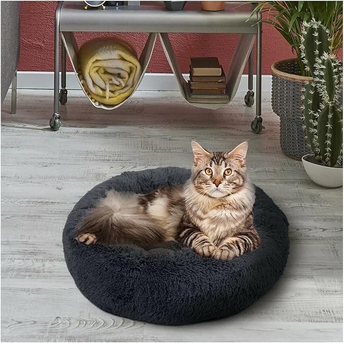 Geizire 24 inch Cat Bed Dog Bed for Cats