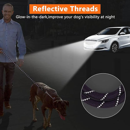 NTR 6FT Heavy Duty Dog Leash