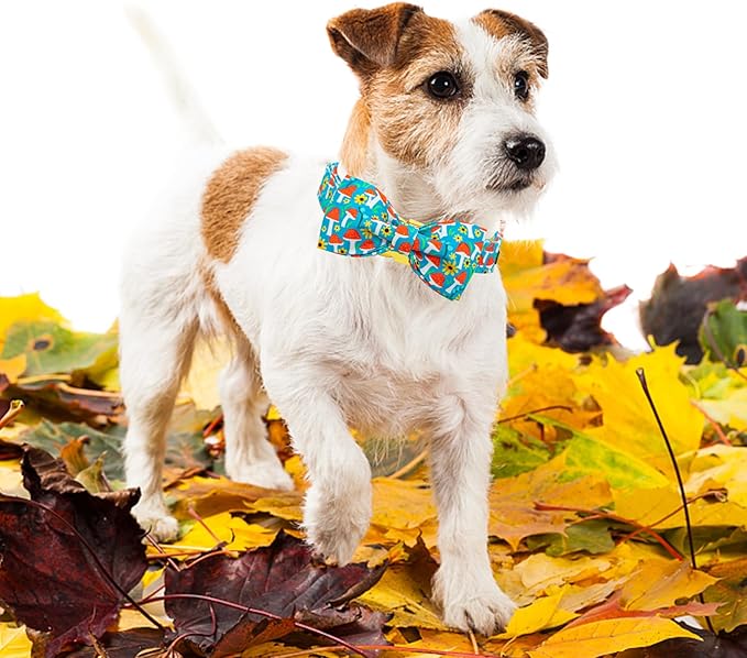 Lionheart glory Dog Collar Fall Dog Collars with Bow Tie Blue Dog Collar Bow Female Male Pet Collar Dogs Collar Bows Duty Adjustable Dog Bow Collars for Small Dogs