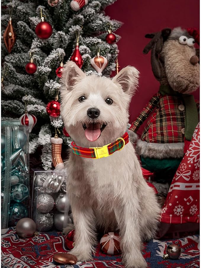 Lionheart glory Christmas Plaid Dog Collar
