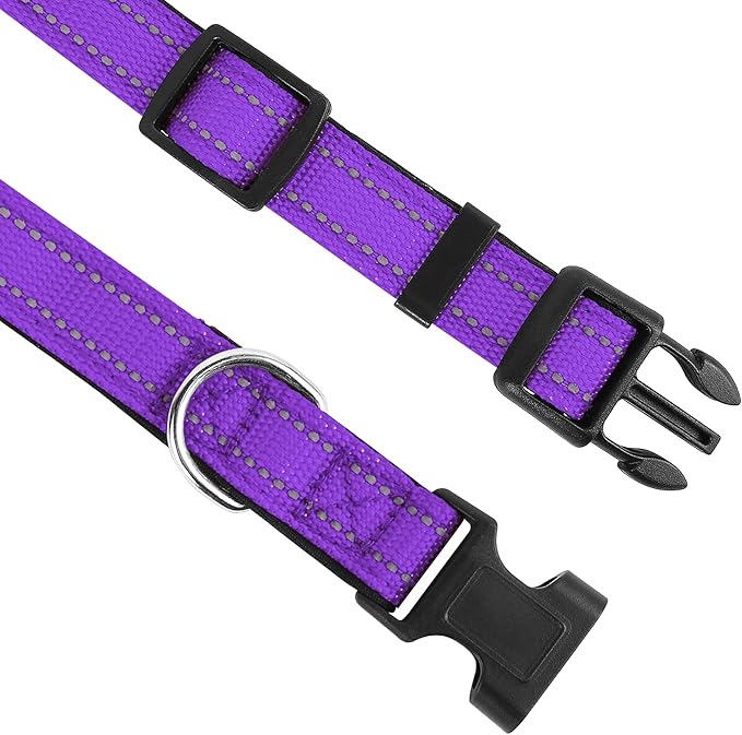 Reflective Dog Collar