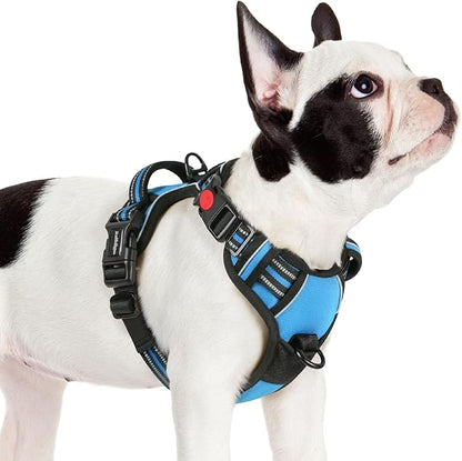 rabbitgoo Dog Harness Small Sized, No Pull Pet Harness with 3 Buckles, Adjustable Soft Padded Dog Vest with Instant Control Handle, Easy Walking Reflective Pet Vest for Small Dogs, Sky Blue, S