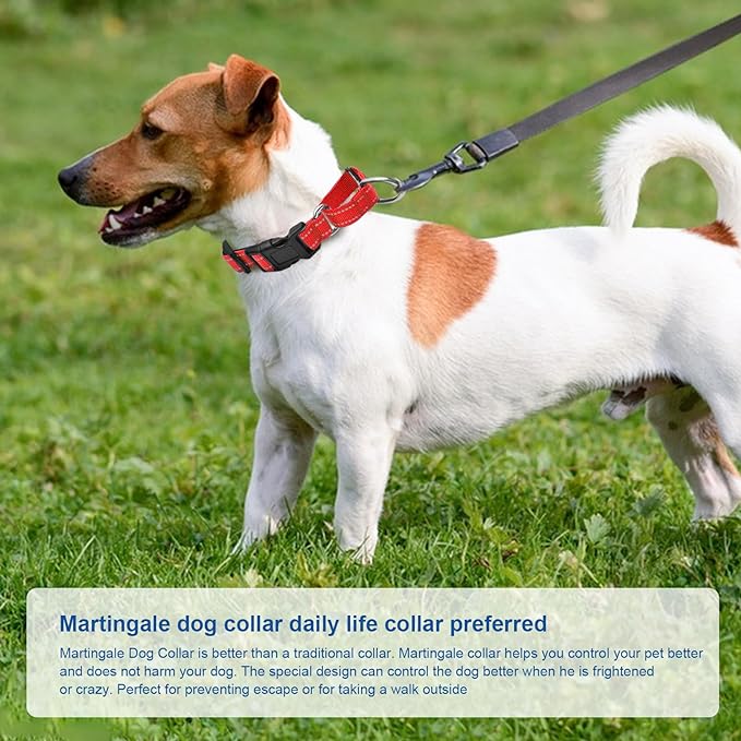 Reflective Martingale Dog Collars. Dog Collar with Quick
