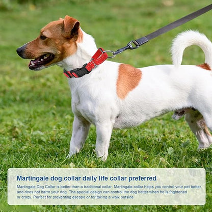 Reflective Martingale Dog Collars. Dog Collar with Quick