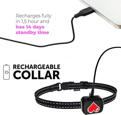 Small Dog Bark Collar Rechargeable 5-15lbs -