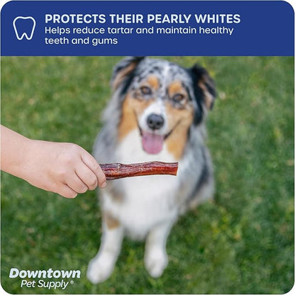 Downtown Pet Supply USA Sourced 12", 5 Pack Bully Sticks for Large Dogs, Regular - Rawhide Free Dog Chews Long Lasting and Non-Splintering - Single Ingredient, Low Odor Bully Sticks for Medium Dogs