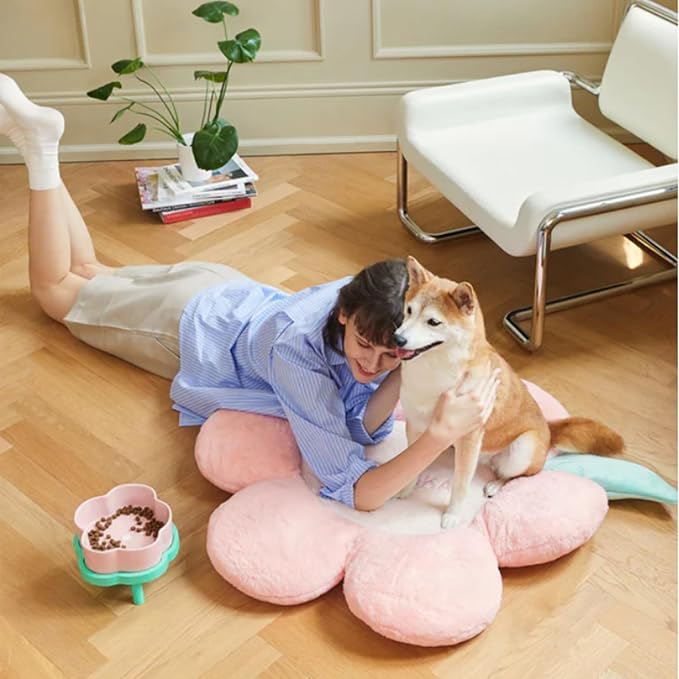 VETRESKA Dog Beds for Medium Small Dogs 33.5Inches Cute