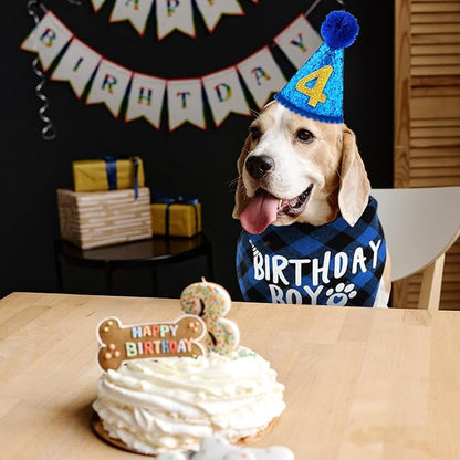 WLLHYF Dog Birthday Party Supplies