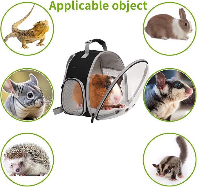 Guinea Pig Carrier,Guinea Pig Carrier for 2,Reptile Travel Carrier for Lizards Sugar Glider Hedgehog Rat Parrot Birds (Blue, Backpack+Harness Leash)