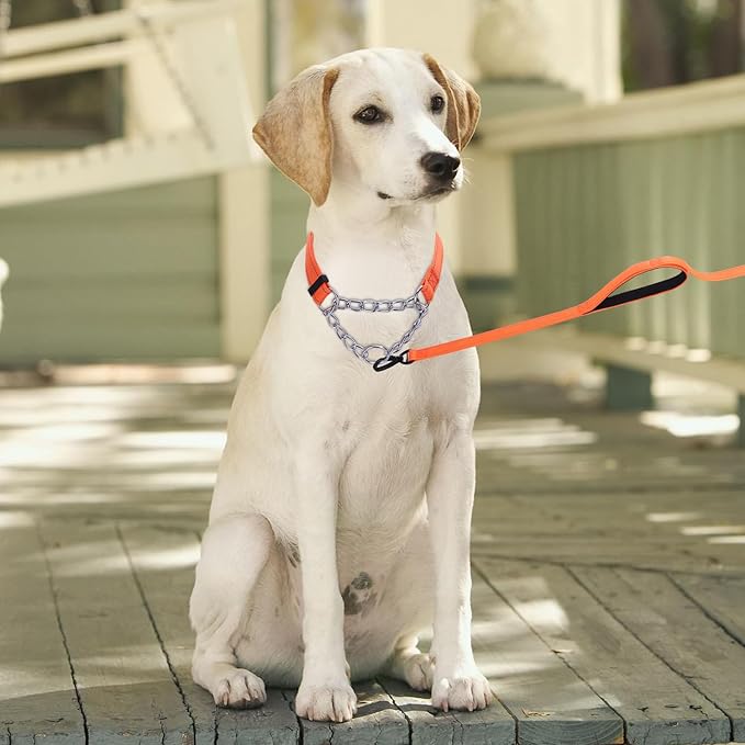 Martingale Dog Collar with Stainless Steel Chain and Leash Set 5FT Double