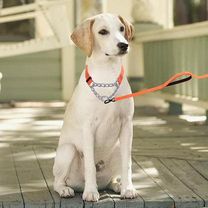 Martingale Dog Collar with Stainless Steel Chain and Leash Set 5FT Double