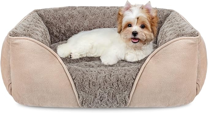 INVENHO Small Dog Bed for Large Medium Small Dogs Rectangle Washable Dog Bed S(20"x19"x6")