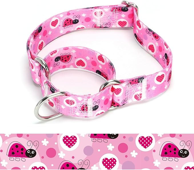 Martingale Dog Collars - Flower Multicolor Cute Patterns, Adjustable Nylon Training Dog Collar Suitable for Boy and Girl Dogs Medium Large Dogs (7, L)