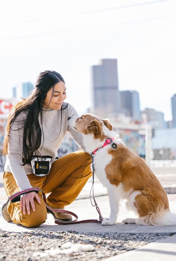 OllyDog Goodie Treat Bag, Dog Treat Pouch, Waist Belt Clip for Hands-Free Training, Magnetic Closure, Dog Training and Behavior Aids, Three Ways to Wear (Abstract Leaves)