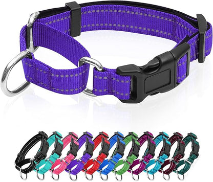 Reflective Martingale Dog Collars. Dog Collar with Quick