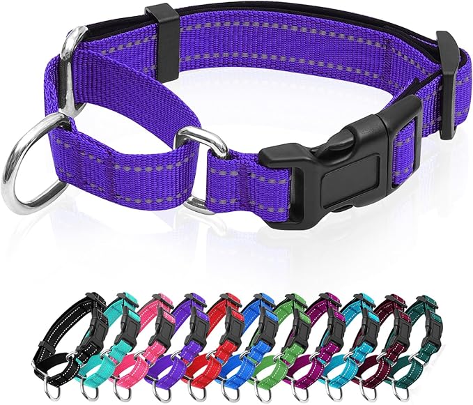 Reflective Martingale Dog Collars. Dog Collar with Quick