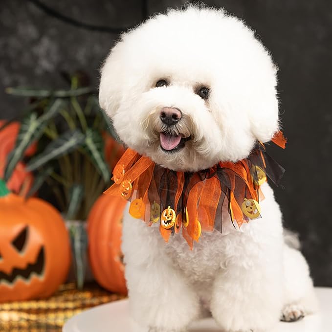 Elegant little tail 1PCS Dog Halloween Costume - Dog Cat Pumpkin Tutu Collar Dog with Halloween Pumpkin Patterns Pet Tutu Collar Suit Pet Halloween Costume for Cats Small Medium Dogs