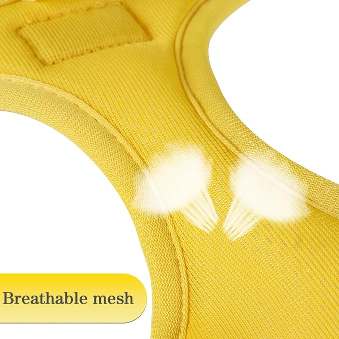 YIMEIS Dog Harness and Leash Set, No Pull Soft Mesh Pet Harness, Reflective Adjustable Puppy Vest for Small Medium Large Dogs, Cats (Yellowgrey, X-Small (Pack of 1)