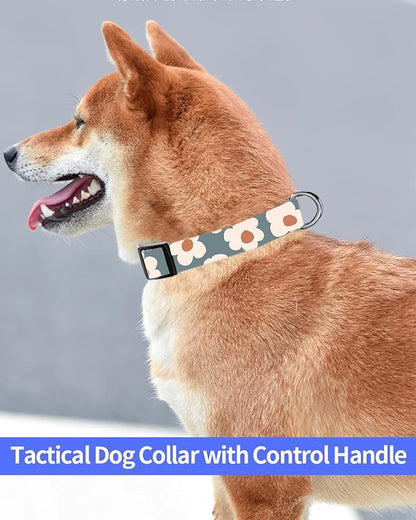 Dog Collar