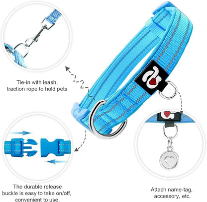 azuza Reflective Dog Collar